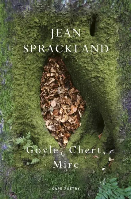 Goyle, Chert, Mire by Jean Sprackland