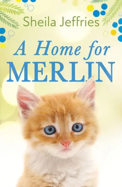 A Home for Merlin by Sheila Jeffries