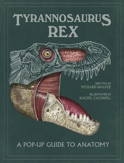 Tyrannosaurus rex by Dougal Dixon