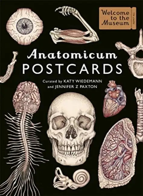 Anatomicum Postcard Box by Jennifer Z Paxton