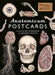 Anatomicum Postcard Box by Jennifer Z Paxton