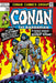 Conan the Barbarian: The Original Comics Omnibus Vol.4 by Roy Thomas