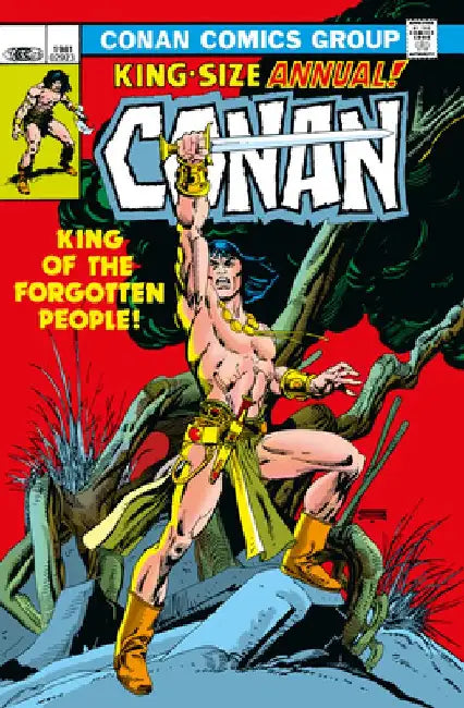 Conan the Barbarian: The Original Comics Omnibus Vol.5 by J. M. Dematteis