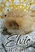 The Diary of Elvis the Rabbit by Sylvia Gallimore