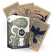 Transient Light Tarot: An 81-Card Deck and Guidebook by Ari Wisner