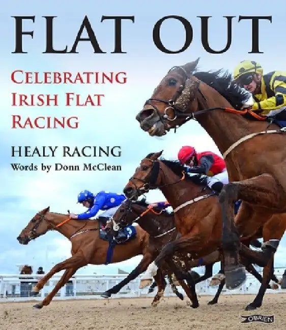 Flat Out [working Title] by Healy Racing