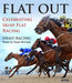 Flat Out [working Title] by Healy Racing