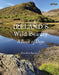 Ireland's Wild Beauty: A Book of Days by Carsten Krieger