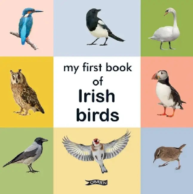 My First Book of Irish Birds by The O'Brien Press