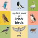 My First Book of Irish Birds by The O'Brien Press