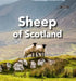 Sheep of Scotland by Sarah O'Connor