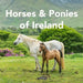 Horses and Ponies of Ireland by Sarah O'Connor