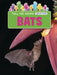 Bats by Ruth Owen
