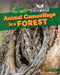 Animal Camouflage in a Forest by Ruth Owen
