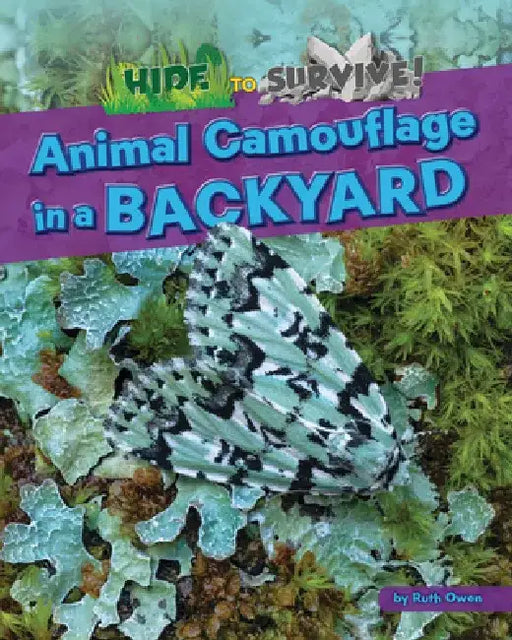 Animal Camouflage in a Backyard by Ruth Owen