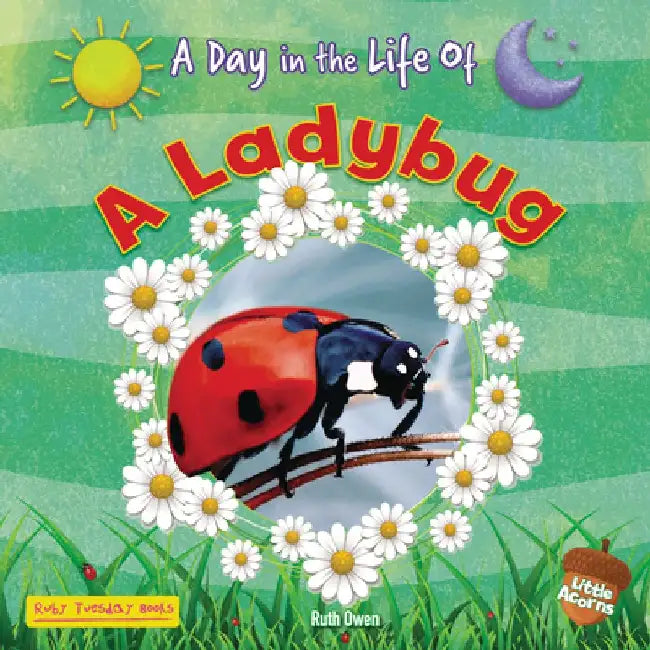 A Ladybug by Ruth Owen