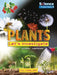 Plants: Let's Investigate by Ruth Owen