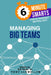 Managing Big Teams by Llewellyn, Tony