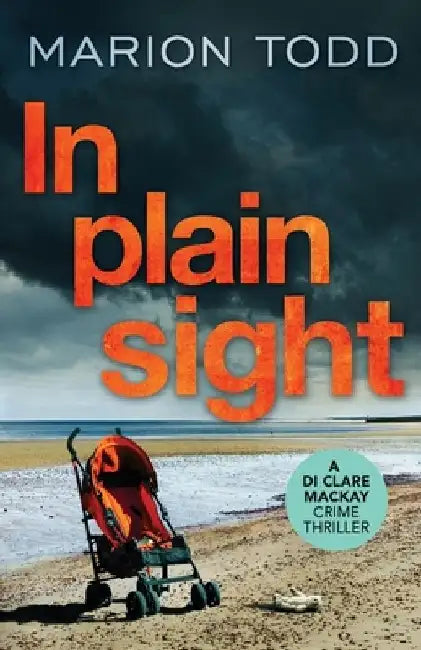 In Plain Sight by Marion Todd