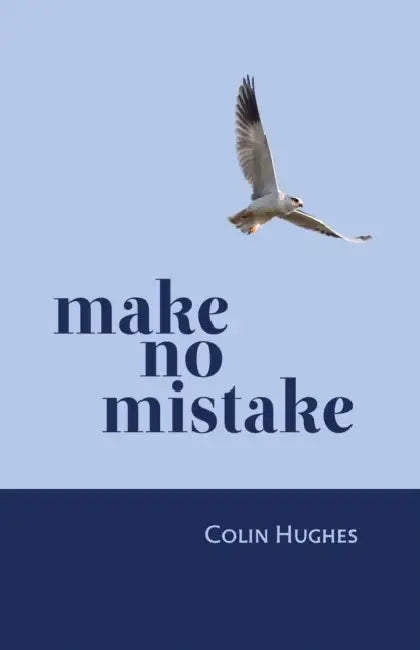 Make No Mistake by Colin Hughes