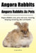 Angora Rabbit. Angora Rabbits As Pets. Angora Rabbit care, pros and cons, housing, keeping, breeding, diet and health. by George Galloway