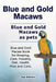 Blue and Gold Macaws. Blue and Gold Macaws as pets. Blue and Gold Macaw book for Keeping, Care, Housing, Diet, Health. Pros and Cons. by Roger Rodendale