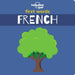 First Words - French - Board Book by Lonely Planet Kids