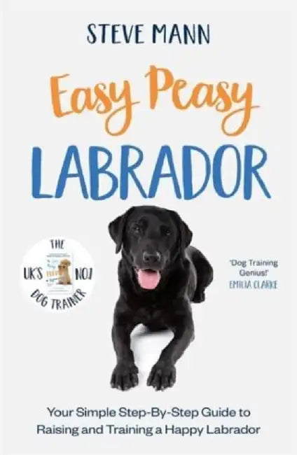 Easy Peasy Labrador by Steve Mann