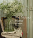 The Natural Home: Creative Interiors Inspired by the Beauty of the Natural World by Hans Blomquist