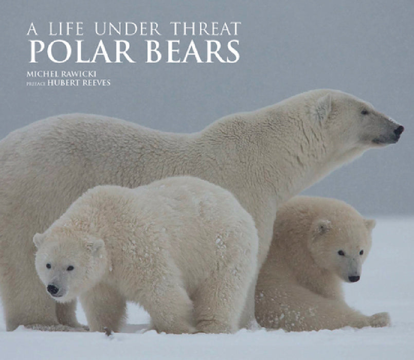 Polar Bears: A Life Under Threat by Michel Rawicki