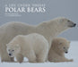 Polar Bears: A Life Under Threat by Michel Rawicki