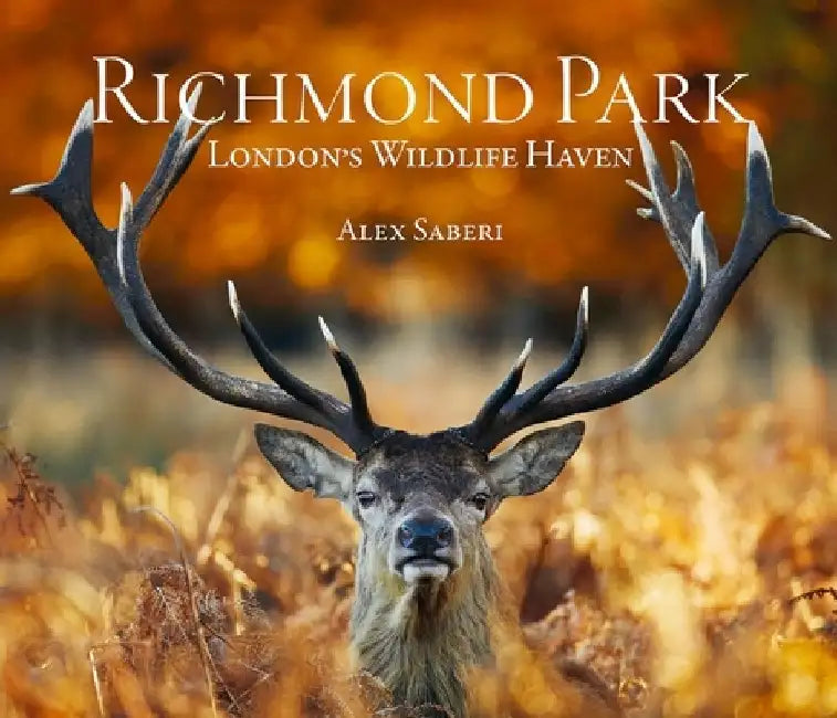 Richmond Park by Alex Saberi