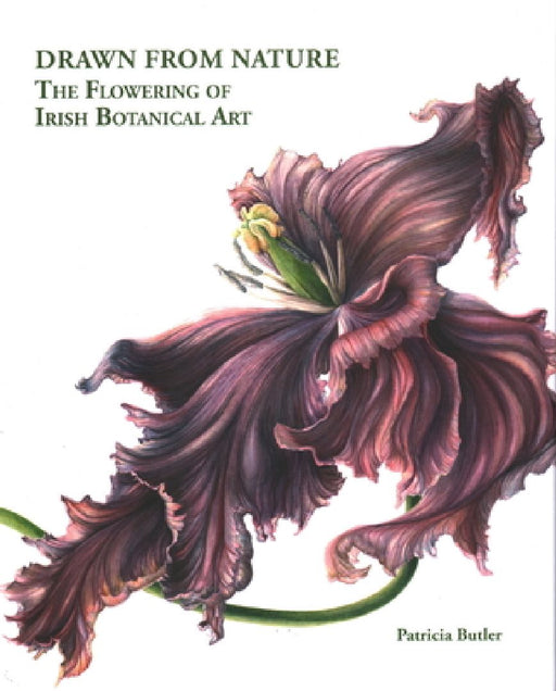 Drawn from Nature: The Flowering of Irish Botanical Art by Patricia Butler