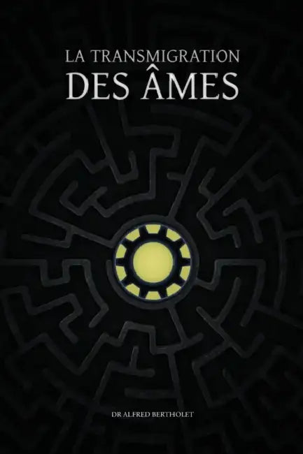 La transmigration des âmes by Alfred Bertholet