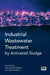 Industrial Wastewater Treatment by Activated Sludge by Derin Orhon