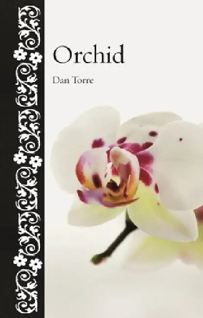 Orchid by Dan Torre