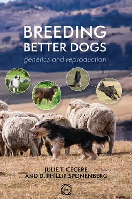 Breeding Better Dogs: Canine Breeding Management by D. Phillip Sponenberg