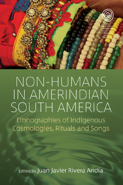 Non-Humans in Amerindian South America: Ethnographies of Indigenous Cosmologies, Rituals and Songs by Juan Javier Rivera Andía