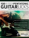 100 Hi-Tech Pentatonic Guitar Licks: Discover the Language of Advanced Technical Rock Guitar Soloing by Ioannis Anastassakis