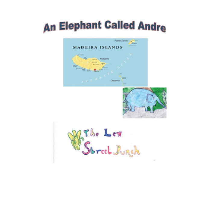 An Elephant Called Andre by Gedling Day Services