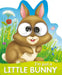 I'm Just a Little Bunny by Sarah Lucy