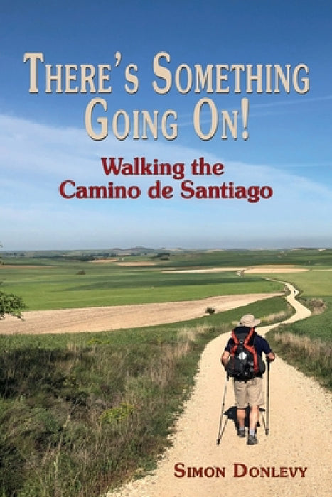 There's Something Going On!: Walking the Camino de Santiago by Simon Donlevy