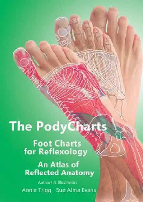 The PodyCharts Foot Charts for Reflexology: An atlas of reflected anatomy by Annie Trigg