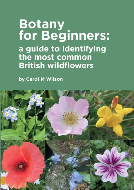 Botany for Beginners: a guide to identifying the most common British wildflowers by Carol M Wilson