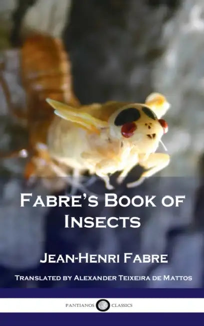 Fabre's Book of Insects by Jean Henri Fabre