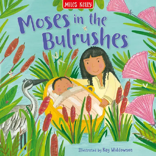 Moses in the Bulrushes by Miles Kelly