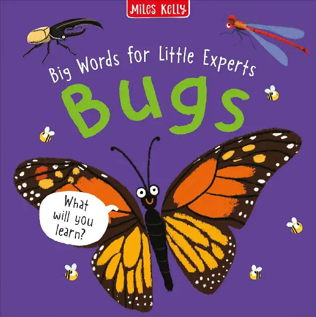 Little Experts: Bugs by Miles Kelly
