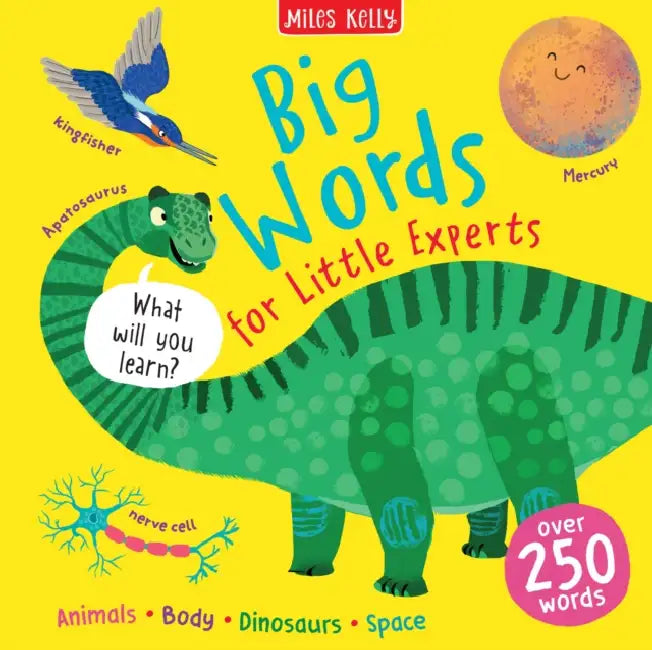 Little Experts: Big Words by Miles Kelly