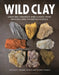 Wild Clay: Creating Ceramics and Glazes from Natural and Found Resources by Matt Levy