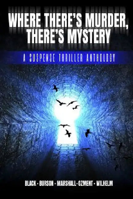 Where There's Murder, There's Mystery: A Suspense Thriller Anthology by Linda Burson